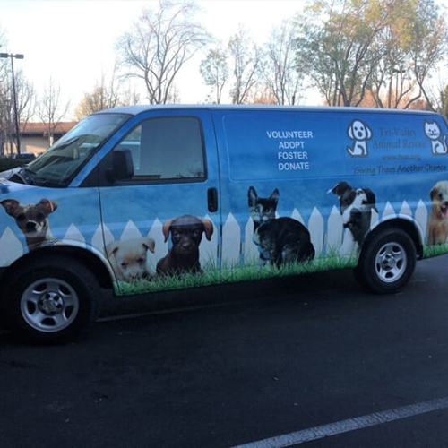 Vehicle Graphics & Wraps